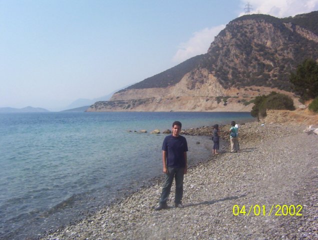 Photograph